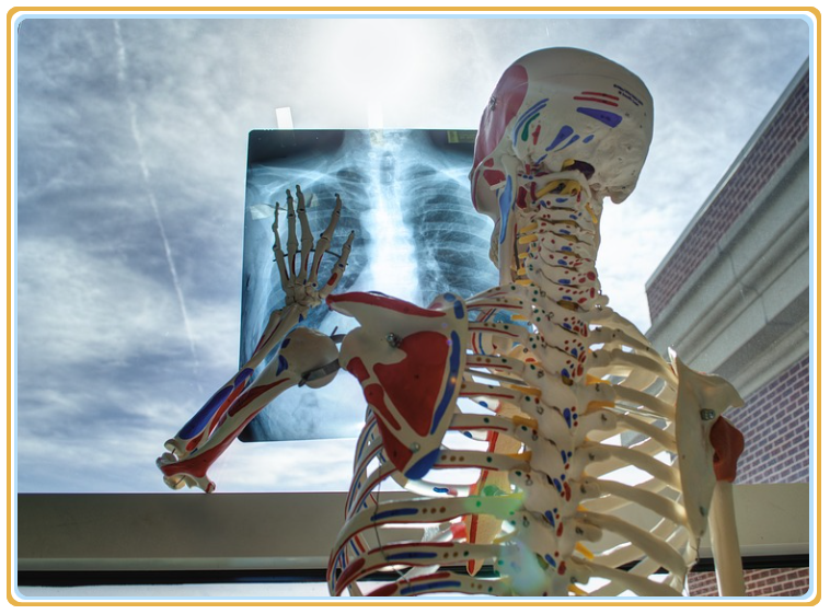 �๦��UC��